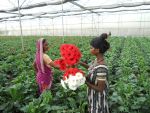 मध्य प्रदेश में फूलों की खेती को बढ़ावा आवश्यक : राज्यपाल