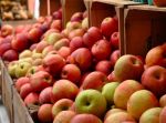 इस साल होगा 5 लाख क्विंटल सेब का इम्पोर्ट