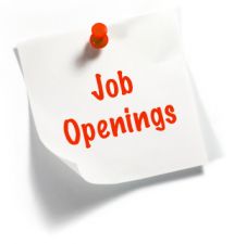 Job Opening for Young Professionals Positions, Salary Rs 15,000