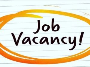 Job Opening for The Posts of Village Employment Assistant, Apply now