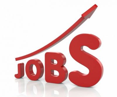 Job Opening on 79 Posts of Assistant, Will Get Attractive Salary