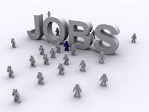 Recruitment for the posts of academic associate, will get attractive salary