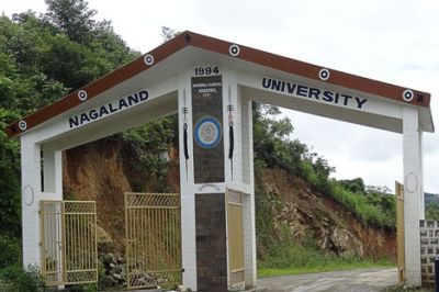 Nagaland University : प्रोजेक्ट फेलो के पद पर करें आवेदन, ऐसे होगा सिलेक्शन