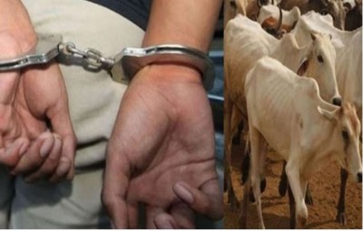 Karnataka: Man arrested for having sex with cow