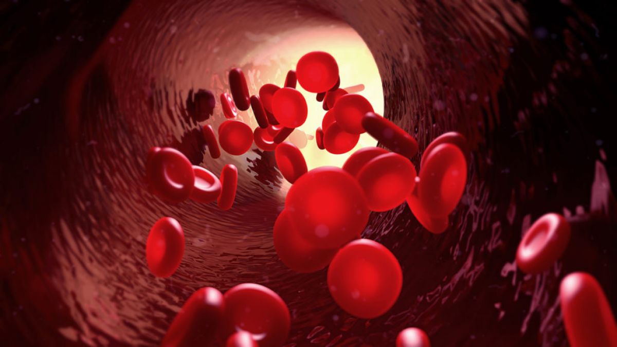 Amazing Facts: Interesting Facts about blood