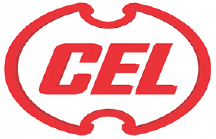 Govt puts CEL privatisation on hold amid allegations of under-valuation