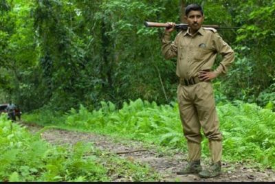Great chance to apply for the post of Forest Guard, 334 posts are vacant