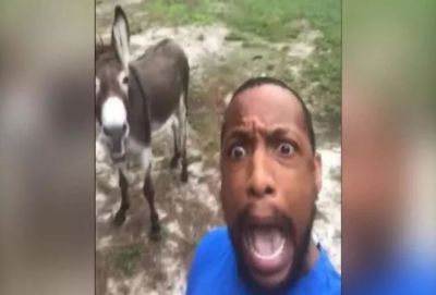 VIDEO: This Donkey started to sing with the owner; you'll be amazed to see!