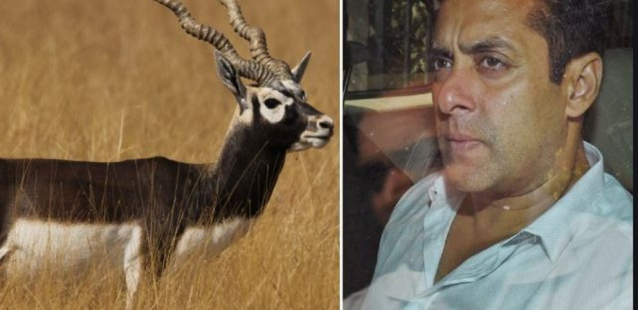 Salman Khan's hunting deer to have a grand memorial
