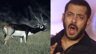 Salman Khan to appear in court tomorrow for poaching of black deer