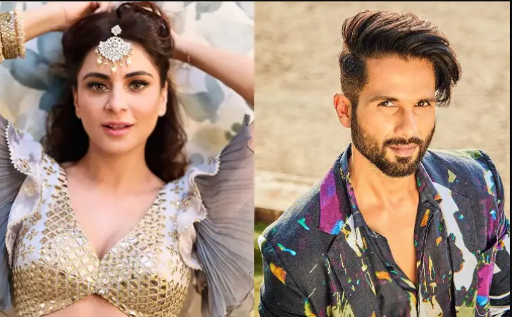 Shraddha Arya has appeared in this movie with Shahid