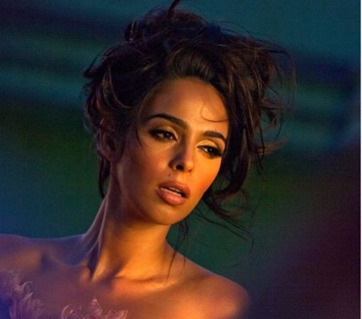 Mallika Sherawat all set to return to the industry, will be seen in this film