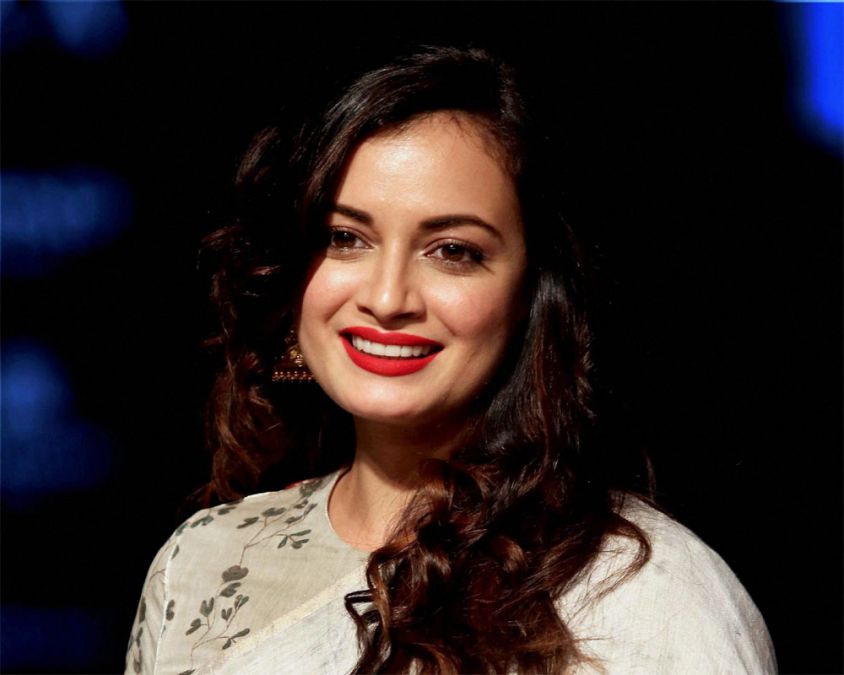 Bollywood actress Dia Mirza's glamorous avatar is seen in this video; see  here! | NewsTrack English 1