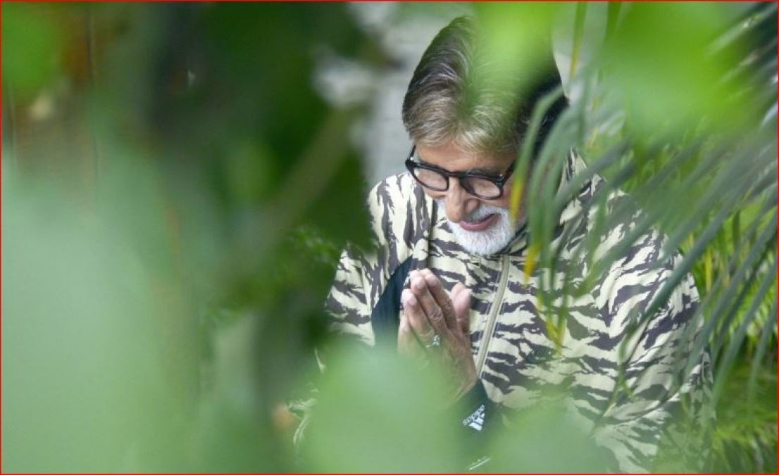 Amitabh Bachchan tweeted about bats and coronavirus