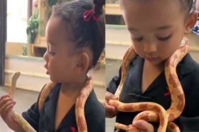 Video: The 2-year-old daughter of this actress playes with snakes, watch shocking video here
