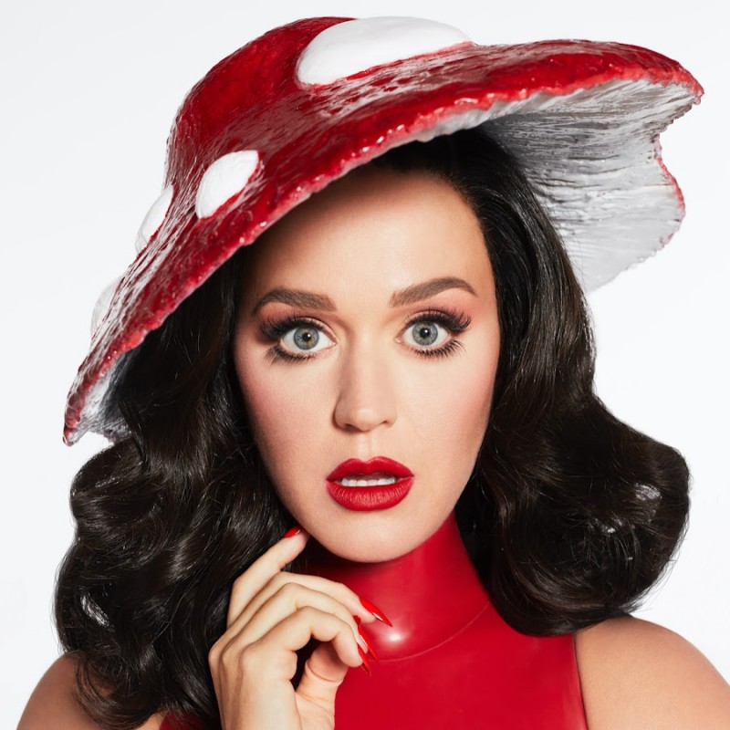 Katy Perry shared topless photos, fans got obsessed