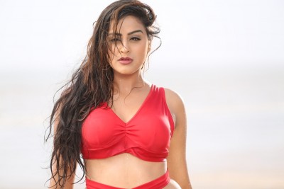 Bhojpuri actress wants to play 'Yamini Singh'