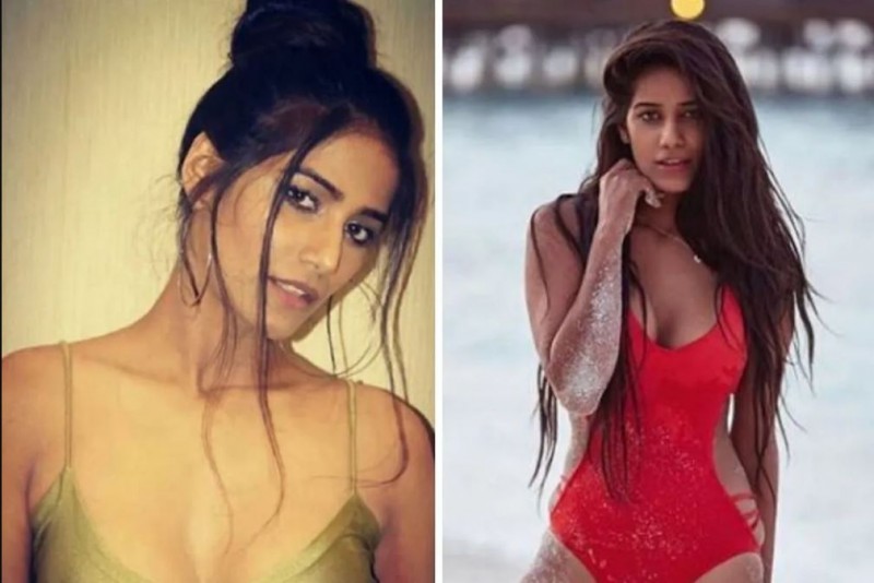 Poonam Pandey did obscene acts during buying mangoes