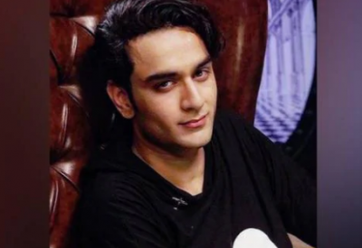 BB13: Devolina did not come out yet Vikas Gupta walked out