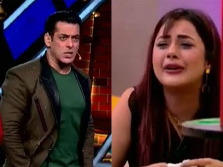 grave tuberkulose Økonomi BB13: Salman came to Bigg Boss house due to Shahnaz, says 'She has started  to think of herself as Katrina' | NewsTrack English 1