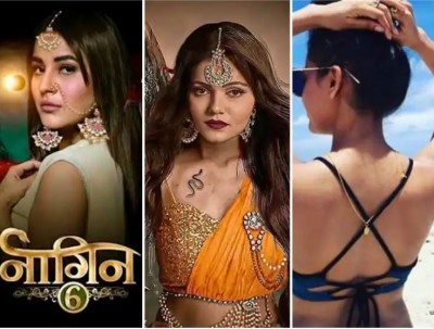 Neither Rubina nor Shehnaaz in 'Naagin 6'! Now makers eyes on this actress