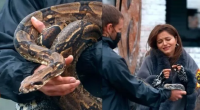VIDEO! Rubina Dilaik got the task of kissing a snake and then...