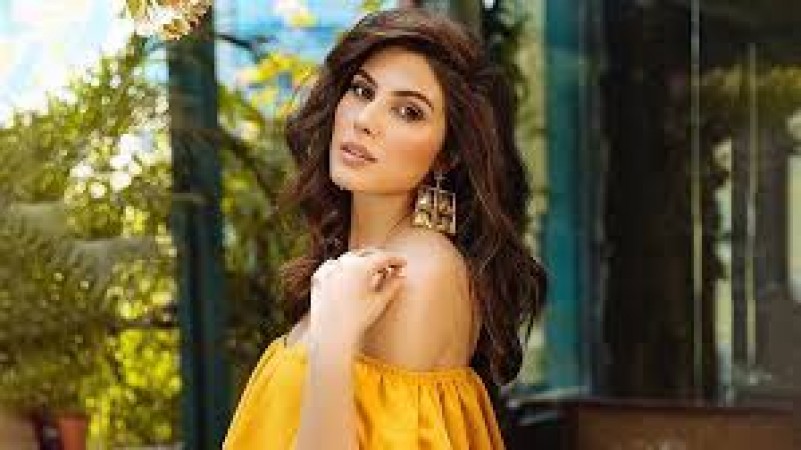 Why tag songs or actors as item song or girl? says Elnaaz Norouzi