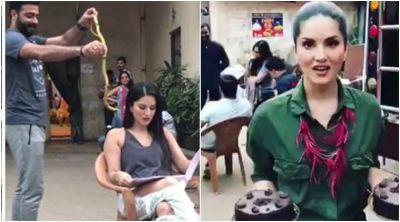 This Prank will make you laugh, look Sunny Leone get the revenge.