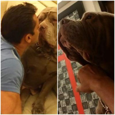 See pics : Salman Khan is heartbroken  on the death of his dog My Love