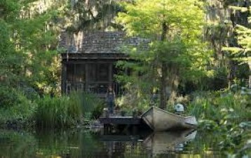Step into the Mystical Marshes with 'Where the Crawdads Sing' Film