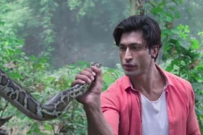 Junglee box office collection: Vidyut Jammwal witness growth on Sunday