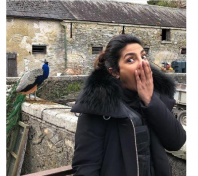 Priyanka Chopra spots with a peacock on the sets of Quantico
