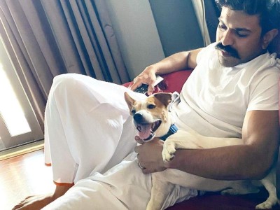 Upasana shares glimpses of Ram Charan's fatherhood with his pet dog Rhyme, See Photos