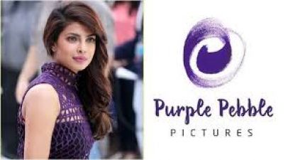 Purple Pebble Pictures of Priyanka Chopra is planning to venture into a web series
