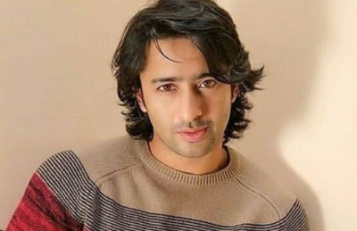 Will Shaheer Sheikh wants to take a break from TV?