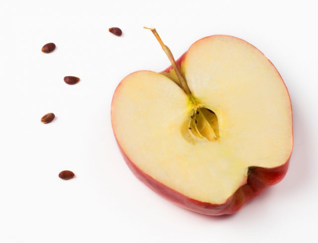 सेब के बीज पंहुचा सकते है आपके स्वास्थ्य को नुकसान