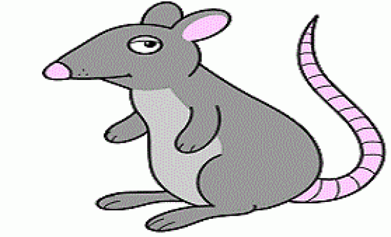 चूहा साथ लेकर घूम रही हूँ | NewsTrack Hindi 1