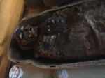 2000BC 'Egyptian Mummy' will be restored in India !