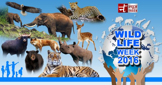 India's Wildlife Week-“Members matter: Working together for wildlife”