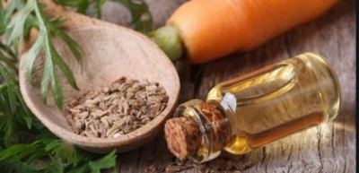 Carrot seed oil is very beneficial for hair and skin.