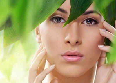 The Beneficial Plants Found in Your Home for Skin and Hair