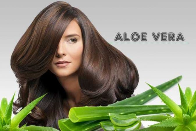 This way aloe vera will increase the shine of your hair