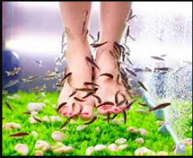 If you want to take advantage of fish pedicure, then keep in mind these things; Know here!