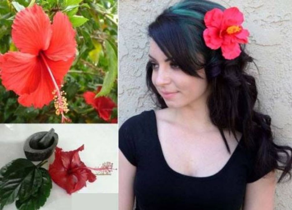 Amazing Benefits of Hibiscus for Skin and Hair | NewsTrack English 1