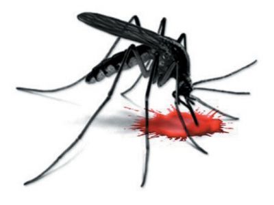 जानिए कैसे करे डेंगू के मच्छरों से बचाव