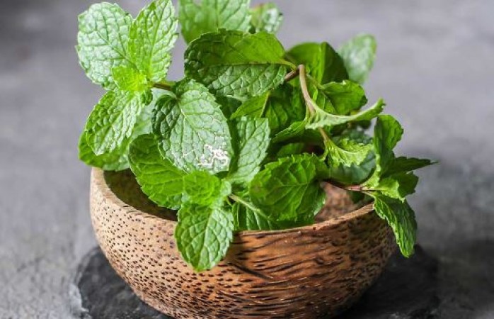 Eat mint like this in summer, will stay fresh and healthy