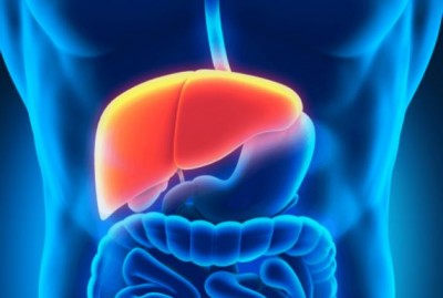 Alcohol's Impact on Liver Rotation, Insights from Experts