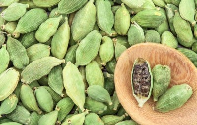 Cardamom Benefits: A Flavorful Remedy for Various Health Condition