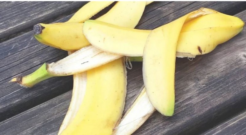 Not only banana but also its peel is beneficial, read this news before throwing it