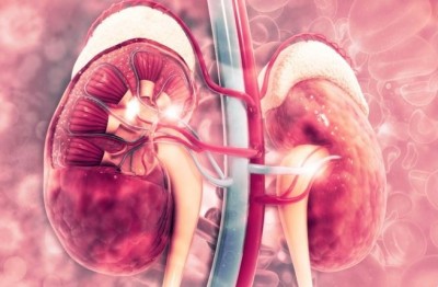 Leave These Foods Today: They Damage the Kidneys